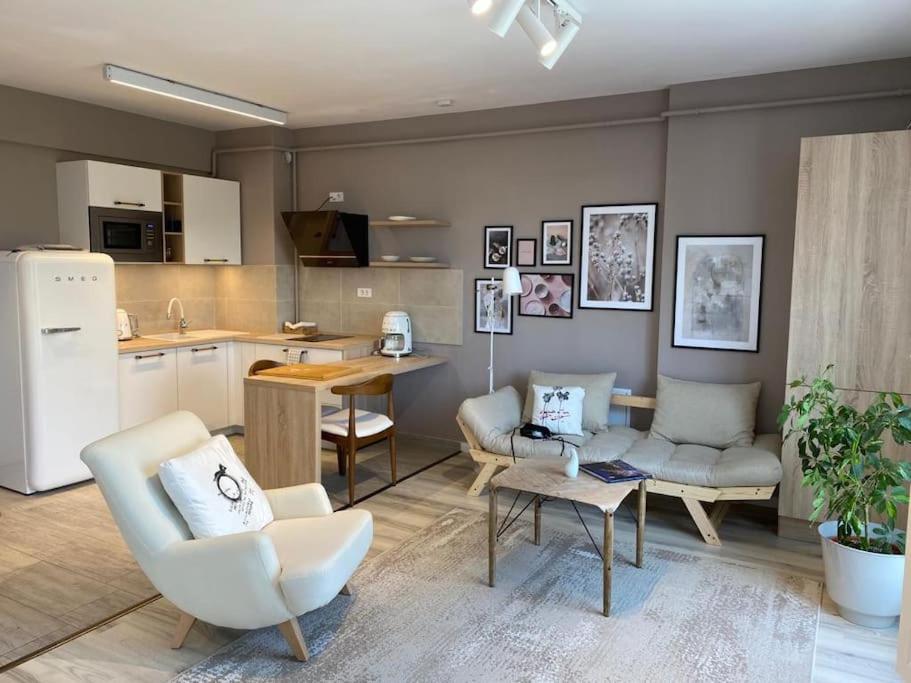 Shi Ti Junior Suite Iasi Exteriér fotografie